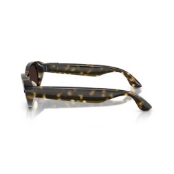 Meta Starfire Kylie Edition Classic Dark Tortoise / Chocolate